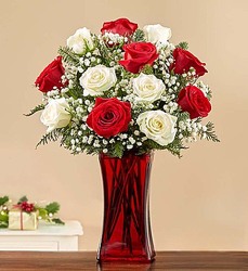 Merry & Bright Rose Bouquet Flower Power, Florist Davenport FL